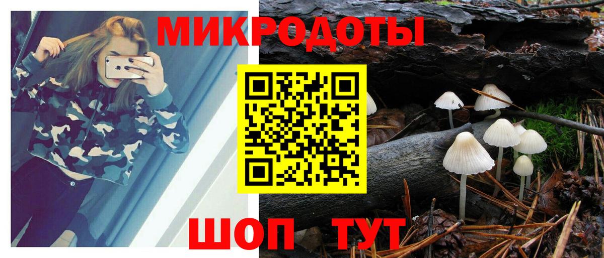 Галлюциногенные грибы мухоморы Ленинск-Кузнецкий