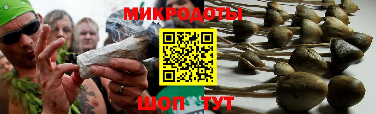 Галлюциногенные грибы Cubensis  Вход с VPN  Ленинск-Кузнецкий 